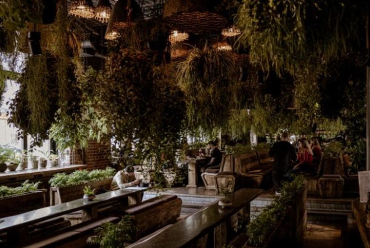 Sempre и бюро путешествий Nesin Travel 