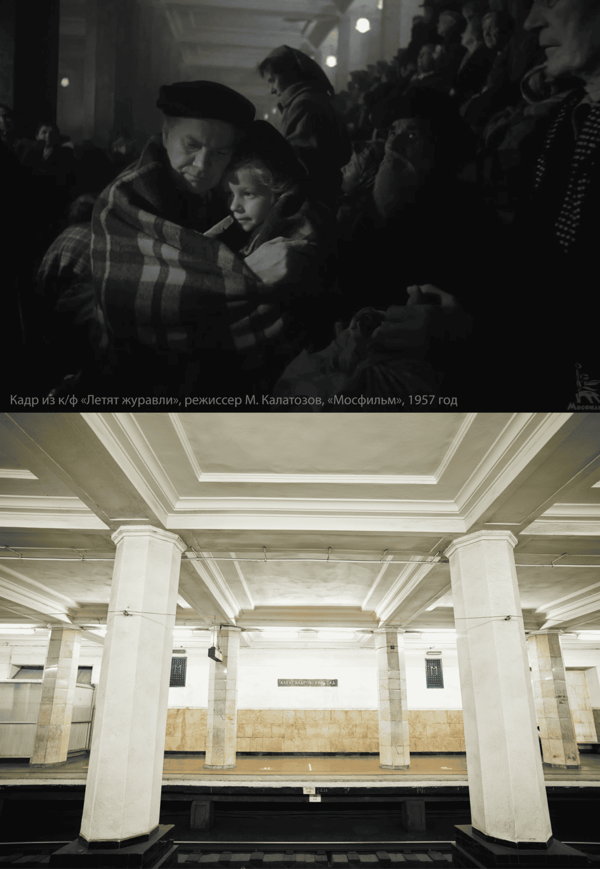 «Летят журавли» Михаила Калатозова