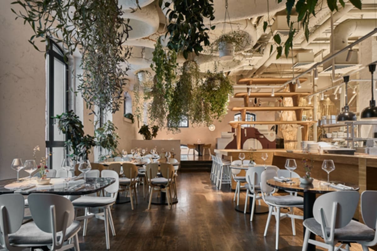 Гостевой ужин «Раков и гадов» в ресторане Sapiens