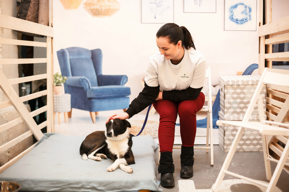 Выставка‑пристройство кошек и собак из приюта «Юна‑Фест»