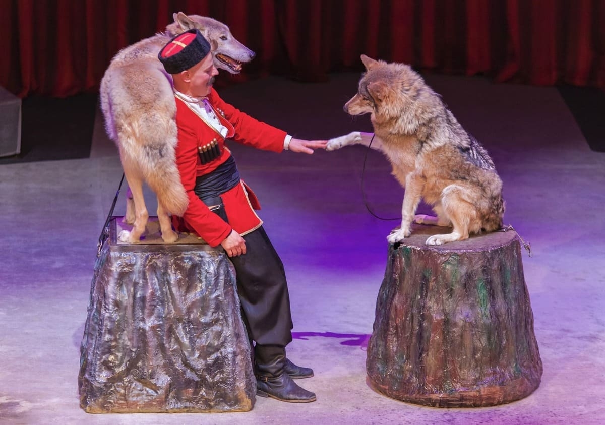 Спектакль «Необыкновенное путешествие»