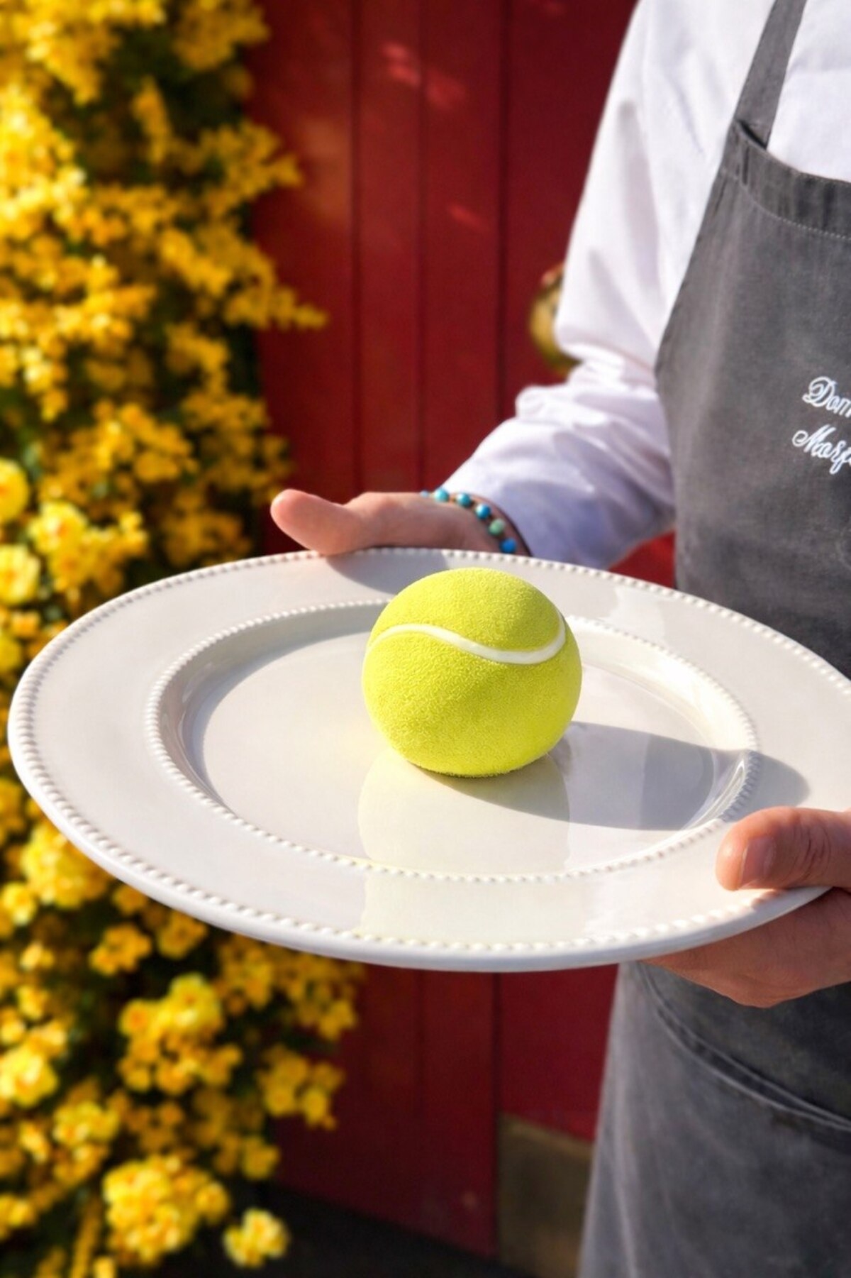 «Ботаника»