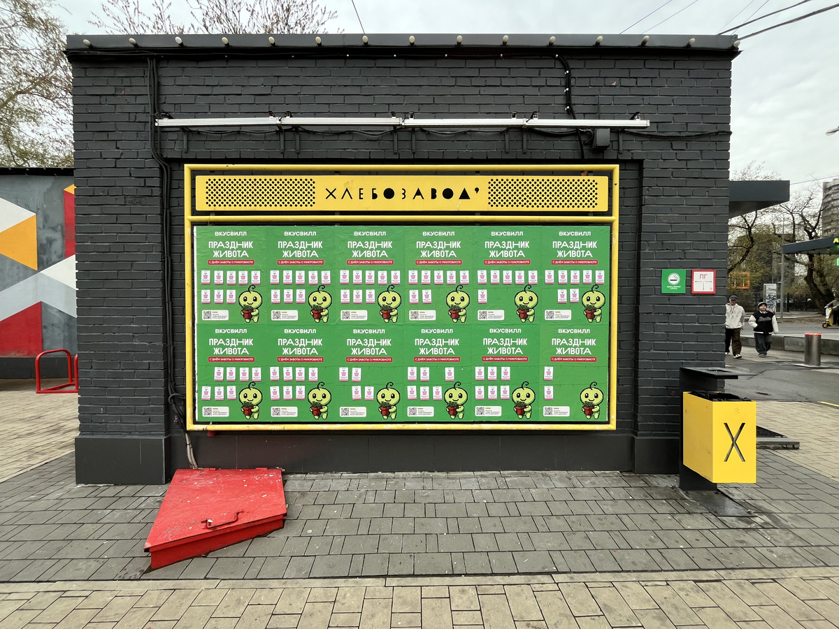 Акция «Пакетики семян микрозелени от «ВкусВилла»