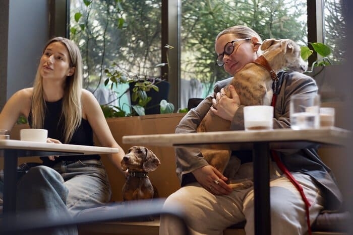 Cosmic latte + «Территория»