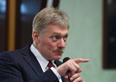 Песков прокомментировал заявление Лисина о переходе на платежи в рублях