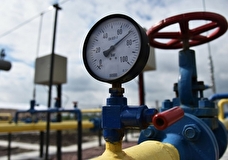 Запад вряд ли сможет заместить российские нефть и газ в перспективе 5-10 лет