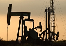 В Кремле заявили, что Россия не будет продавать нефть себе в убыток