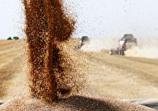Белоруссия готова к поставкам зерна с Украины в балтийские порты через свою территорию