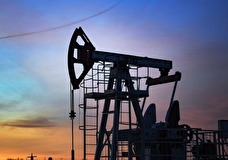 Россия намерена сформировать свой эталонный сорт нефти
