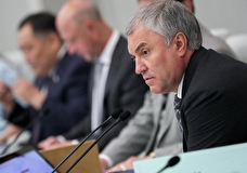 Вячеслав Володин не исключил проведения еще одного внепланового заседания ГД