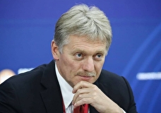 Песков: РФ не заинтересована в отказе ЕС от российского газа