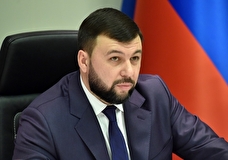 В ГД согласились с заявлением Пушилина о необходимости освободить русские города Украины