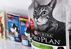 Purina заявила об остановке производства серии кормов для кошек и собак в РФ
