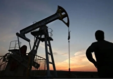 Песков: от установления потолка цен на нефть из РФ пострадают европейские налогоплательщики