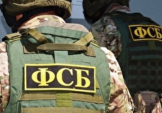 ФСБ выявила 187 участников интернет-сообществ, призывавших к массовым убийствам