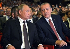 Путин и Эрдоган уже на следующей неделе могут обсудить выполнение зерновой сделки