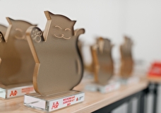 НКО приглашают принять участие в премии «Золотой кот 2022»