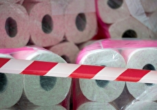 ЕС хочет запретить импорт туалетной бумаги, мыла и косметики из России