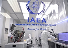 МАГАТЭ не зафиксировало незаявленной ядерной деятельности на украинских объектах