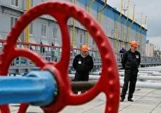 Страны ЕС договорились исключить российский газ из совместных контрактов на закупки