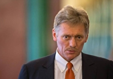 Песков: в Кремле не обсуждают варианты наказания для уехавших из РФ