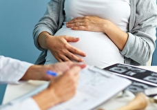 Госдума приняла закон о запрете суррогатного материнства в РФ для иностранцев