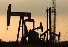 Цена на нефть из РФ с отгрузкой в Приморске упала до 43,72 доллара за баррель