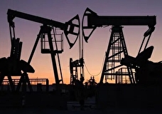 В Минфине США допустили снижение потолка цен на российскую нефть