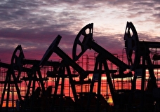 Володин назвал введение потолка цен на нефть Евросоюзом «закатом Европы»