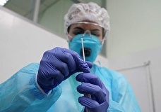 Роспотребнадзор сообщил о выявлении в РФ штамма коронавируса «Кракен»