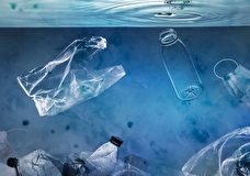 К 2050 году в океане будет больше пластика, чем рыбы