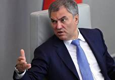 Володин: в Госдуме изучают вопрос о конфискации имущества выступающих против России