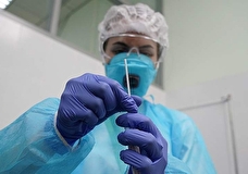 Роспотребнадзор: в РФ выявлен второй случай заражения штаммом коронавируса «кракен»