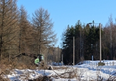 В Финляндии начали строить забор на границе с Россией
