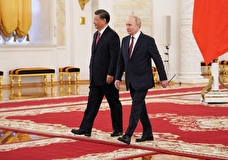 Песков: Путин и Си Цзиньпин не обсуждали украинский мирный план