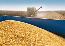 ЕК призвала Украину работать над переориентацией аграрного экспорта за пределы ЕС