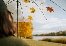 Много джаза, шоу японских барабанщиков и «Золотая черепаха». Гид событий 20-26 октября