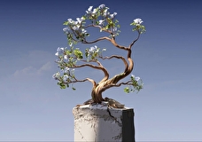 От хобби до работы. 5 бесплатных нейросетей на каждый день