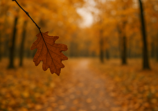 Осенняя хандра или перезагрузка. Почему ноябрьская грусть может быть полезной