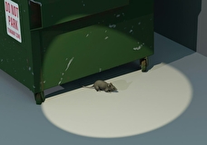 Продавцы поддельной «Крысиной смерти» привлечены к суду