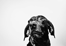 Веская причина верить в людей