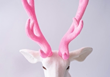 Выставка донских художников, московская неделя дизайна и фестиваль кофе. Гид событий 8-14 декабря