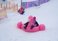 В Москве 13 декабря пройдёт фестиваль креативных тюбингов «Mash на Горке»