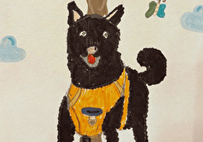 Рисунки детей поддержат животных из приютов в Москве и Подмосковье