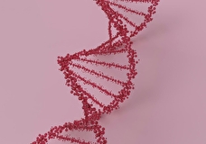 Больше, чем гены: как ДНК-тесты помогают лучше понять себя