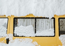 Мультфестиваль на льду, выставка «Августейшие куклы» и Queentet Сергея Мазаева: гид событий 26 января-1 февраля