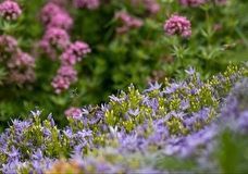 Экологи предупредили о рисках экстремального лета 2026 года