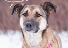 Фонд «Будь другом» приглашает на благотворительную Мафию