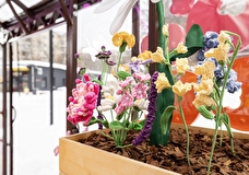 Самокат открыл в Москве теплицу с вязаными цветами — арт-объект о ранней весне