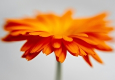 Первая неделя весны: гид событий на 2-8 марта